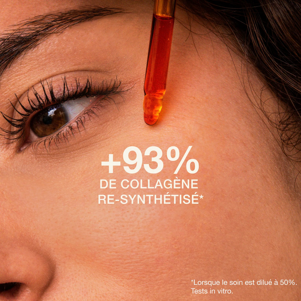 Concentré d’églantier